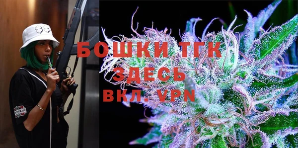 ПСИЛОЦИБИНОВЫЕ ГРИБЫ Семёнов