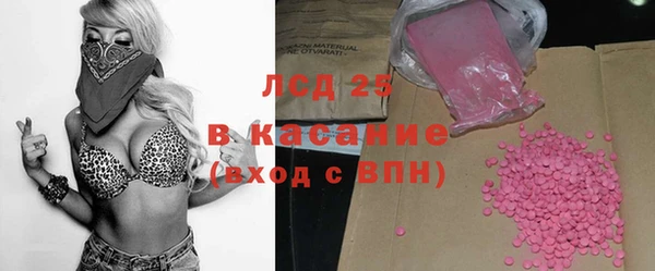 индика Абинск