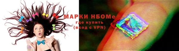 индика Абинск