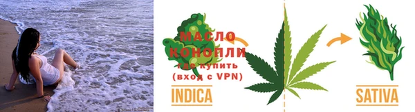 индика Абинск