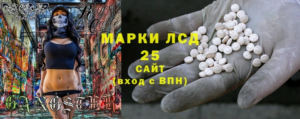 индика Абинск