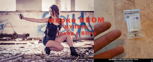индика Абинск
