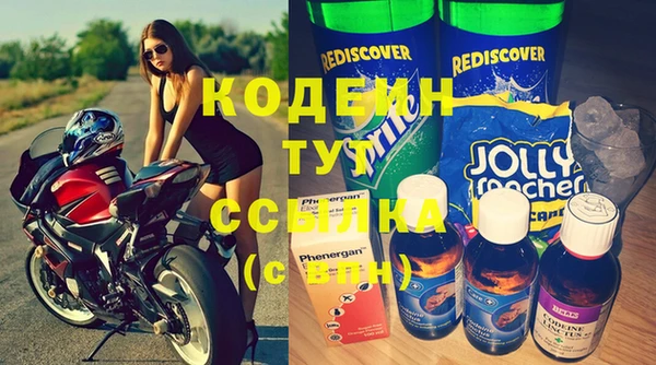 индика Абинск