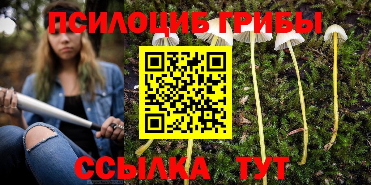 Псилоцибиновые грибы MAGIC MUSHROOMS Гагарин