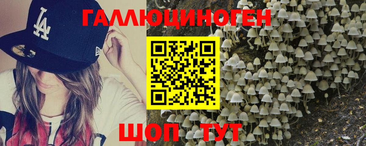 Псилоцибиновые грибы Psilocybine cubensis  Галлюциногенные грибы Psilocybe  Гагарин  Вход с VPN 